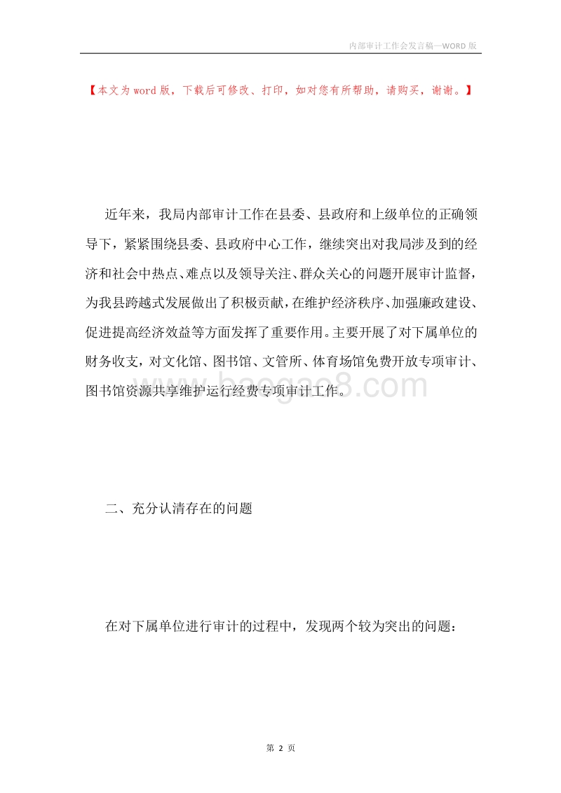 内部审计工作会发言稿.docx_第2页