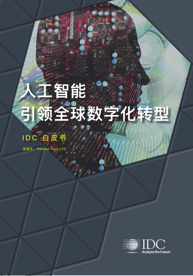 人工智能引领全球数字化转型.pdf_第1页