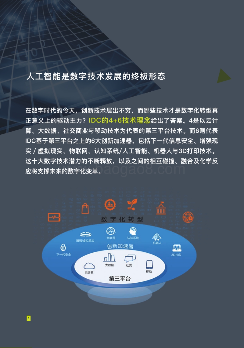 人工智能引领全球数字化转型.pdf_第4页
