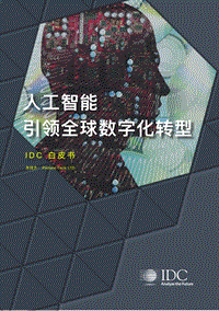 人工智能引领全球数字化转型.pdf