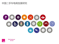 中国二手车电商发展研究.pdf