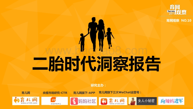二胎时代洞察报告.pdf_第1页