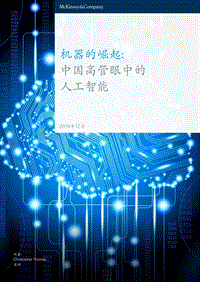 机器的崛起：中国高管眼中的人工智能.pdf