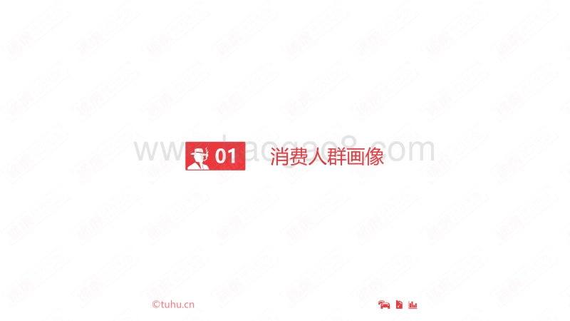 2017年一季度机油电商数据报告.pdf_第3页