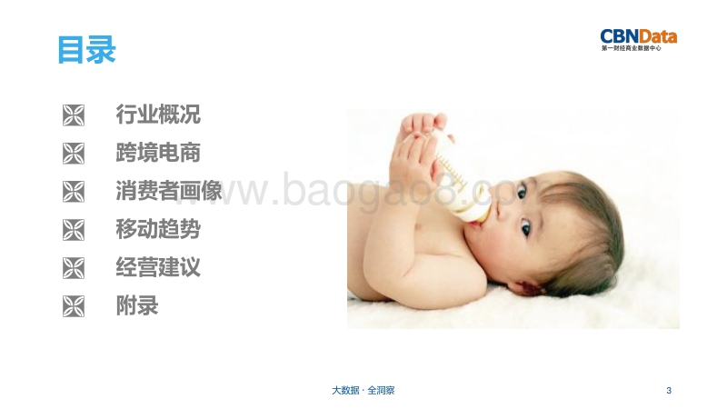 婴幼儿奶粉行业研究报告.pdf_第3页