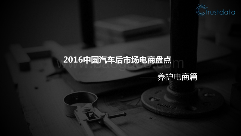 2016中国汽车后市场电商盘点——养护电商篇.pdf_第1页