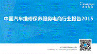 2015中国汽车维修保养服务电商行业报告.pdf