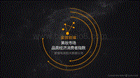 美妆市场品类经济消费者指数.pdf