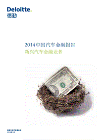 2014中国汽车金融报告：新兴汽车金融业务.pdf