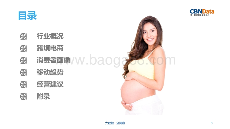 孕妇产品行业研究报告.pdf_第3页