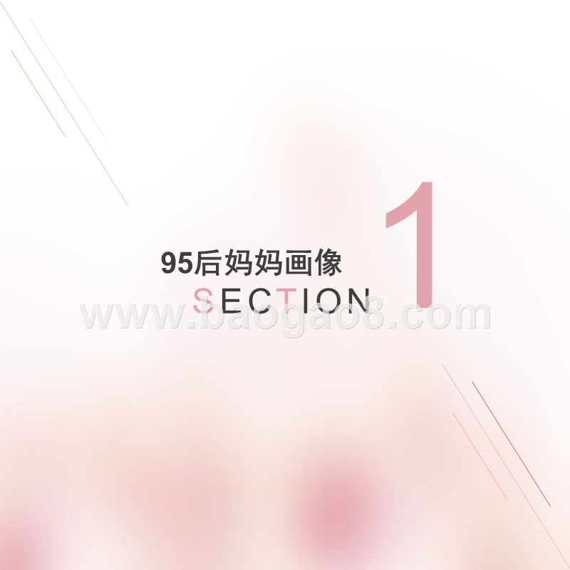 95后妈妈人群画像研究报告.pptx_第3页