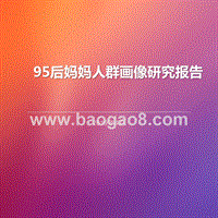 95后妈妈人群画像研究报告.pptx