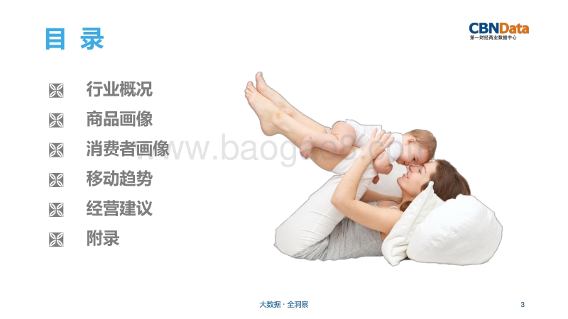 母婴用品行业研究报告.pdf_第3页