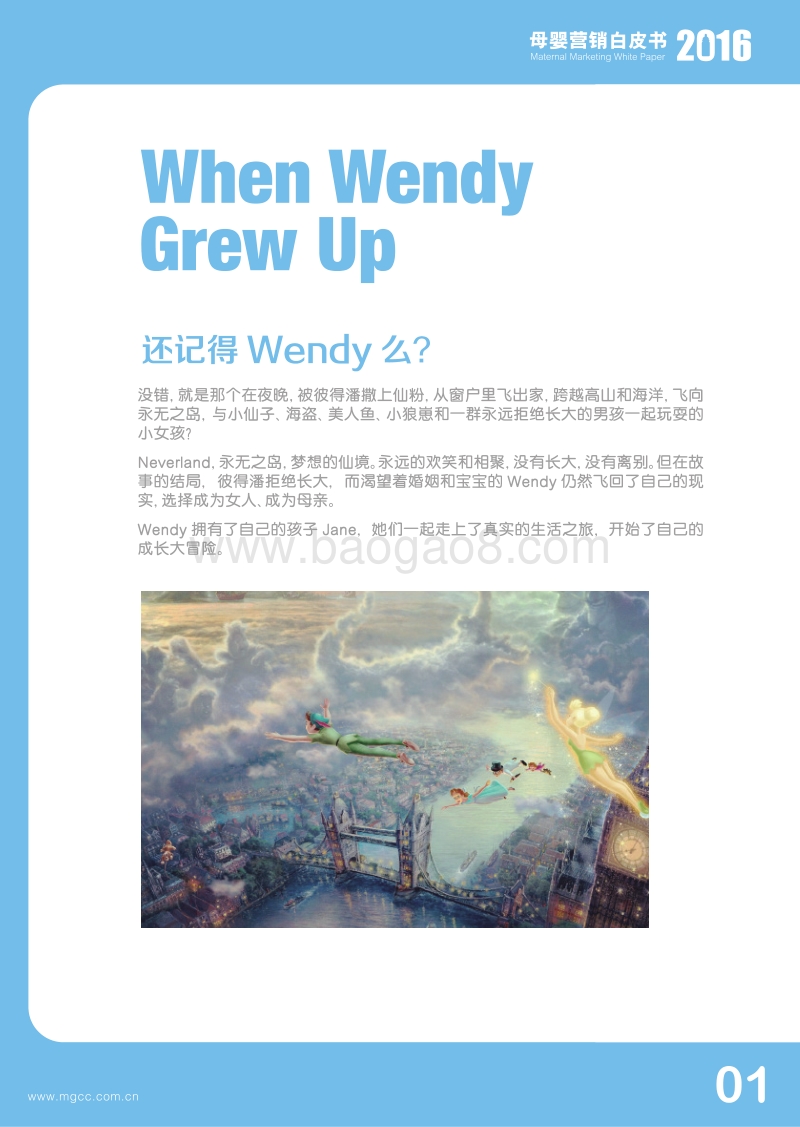 2016母婴营销白皮书.pdf_第3页