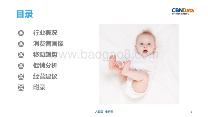纸尿裤行业研究报告.pdf_第3页