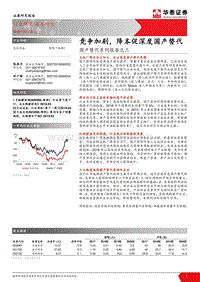 国产替代系列报告之三：竞争加剧，降本促深度国产替代.pdf
