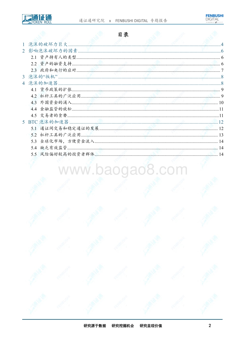 资产泡沫之三：加速的灿烂：BTC“泡沫”的扳机和加速器.pdf_第2页