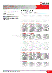 吉林省经济、财政与平台解析：玉树琼花满目春.pdf