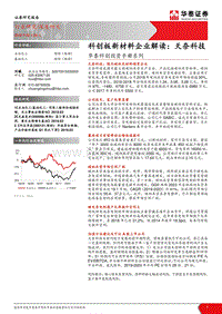 科创投资手册系列：科创板新材料企业解读：天奈科技.pdf