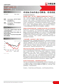 科创板手机终端公司解读：传音控股.pdf