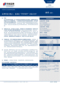 法律科技专题二：美股的“华宇软件”估值几何？.pdf
