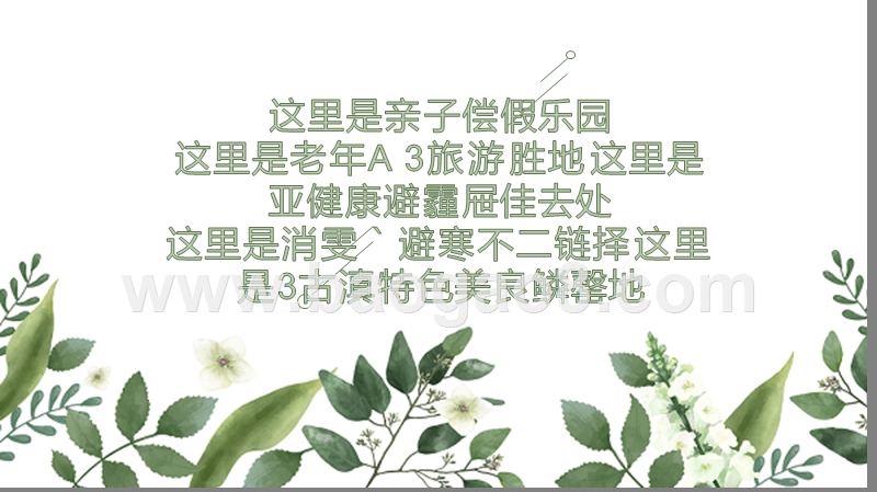 休闲旅游欢乐大世界项目实施方案.pptx_第2页
