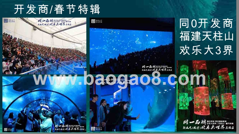 休闲旅游欢乐大世界项目实施方案.pptx_第5页