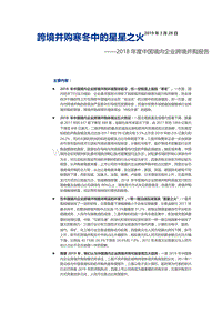 2018年度中国境内企业跨境并购报告：跨境并购寒冬中的星星之火.pdf