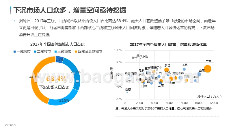 2019下沉市场消费者网购趋势洞察报告.pptx_第5页
