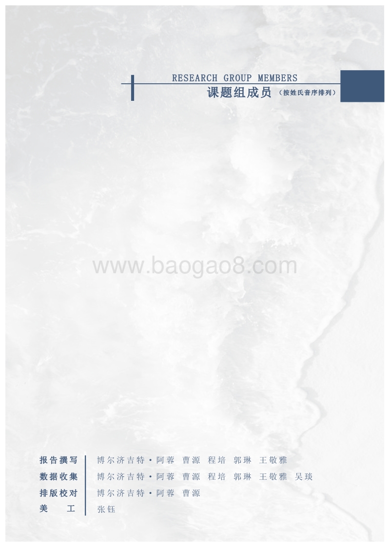 2017中国民间海洋环保组织发展调查报告.pdf_第3页