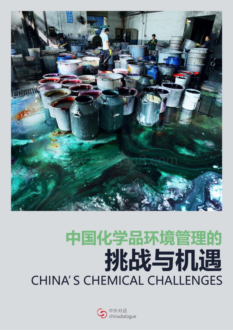 中国化学品环境管理的挑战与机遇.pdf_第1页
