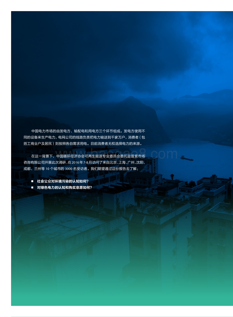 绿色电力消费者购买意愿调研报告.pdf_第4页