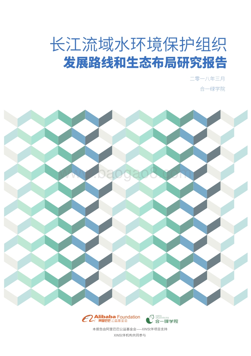 长江流域水环境保护组织发展路线和生态布局研究报告.pdf_第1页