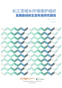 长江流域水环境保护组织发展路线和生态布局研究报告.pdf