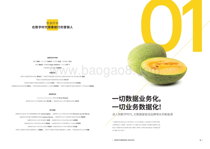 品牌增长源动力.pdf_第5页