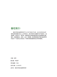 磐石环境评论2015.pdf