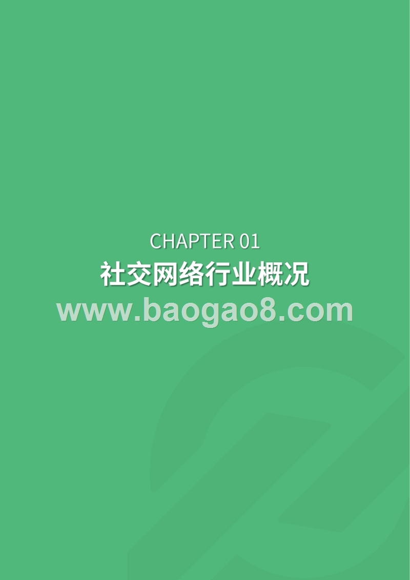 2019年社交网络行业研究报告.pptx_第4页