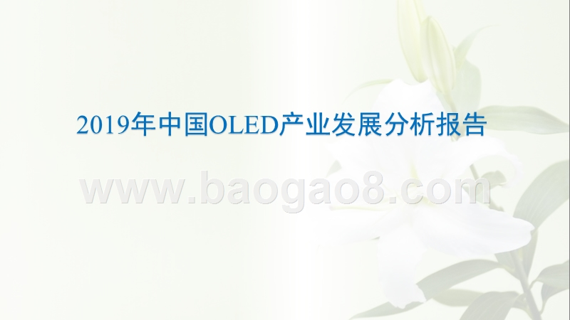 2019年中国OLED产业发展分析报告.pptx_第1页