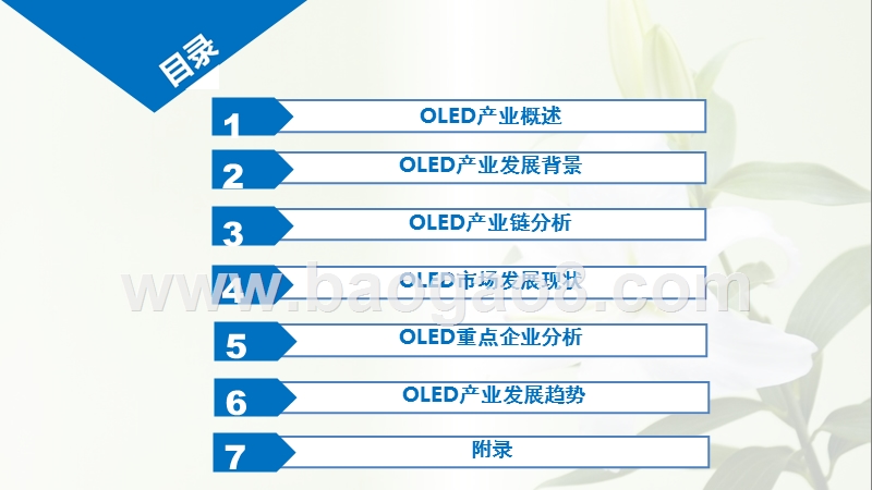 2019年中国OLED产业发展分析报告.pptx_第2页