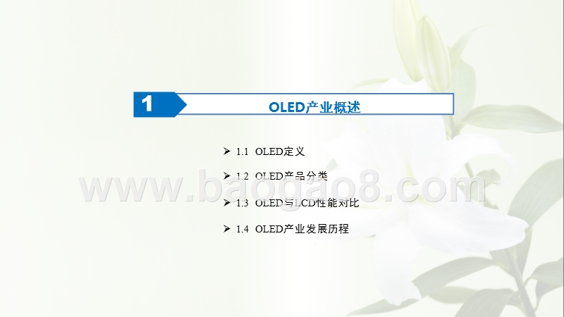 2019年中国OLED产业发展分析报告.pptx_第4页