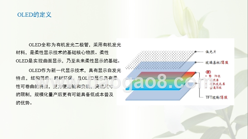 2019年中国OLED产业发展分析报告.pptx_第5页