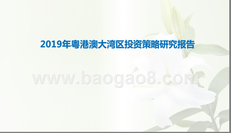 2019年粤港澳大湾区投资策略研究报告.pptx_第1页