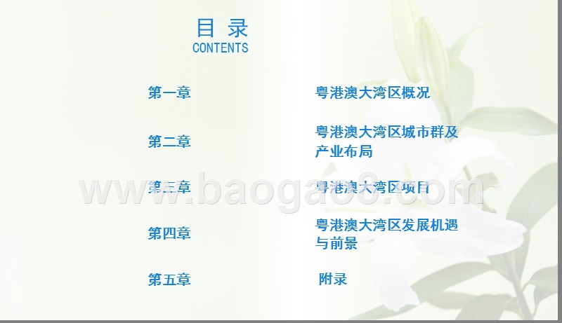 2019年粤港澳大湾区投资策略研究报告.pptx_第2页