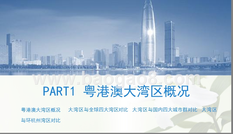 2019年粤港澳大湾区投资策略研究报告.pptx_第3页