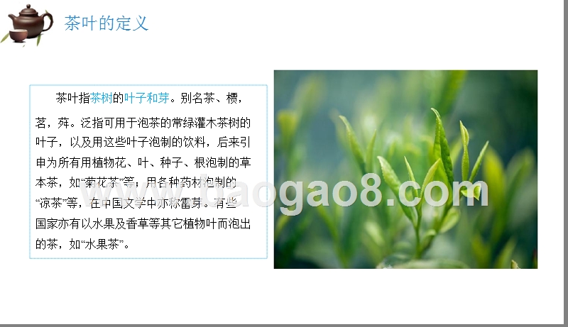 2019茶叶市场发展研究报告.pptx_第4页