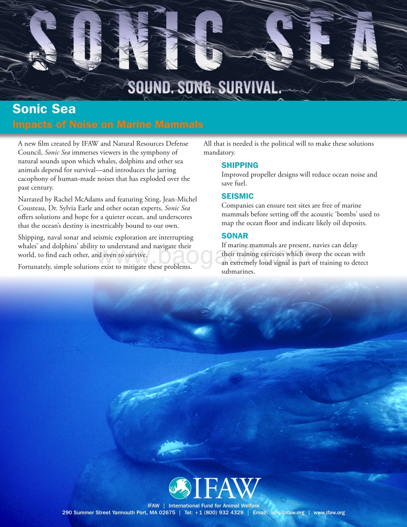 噪音海洋：噪声对海洋哺乳动物的影响（英文版）.pdf_第1页