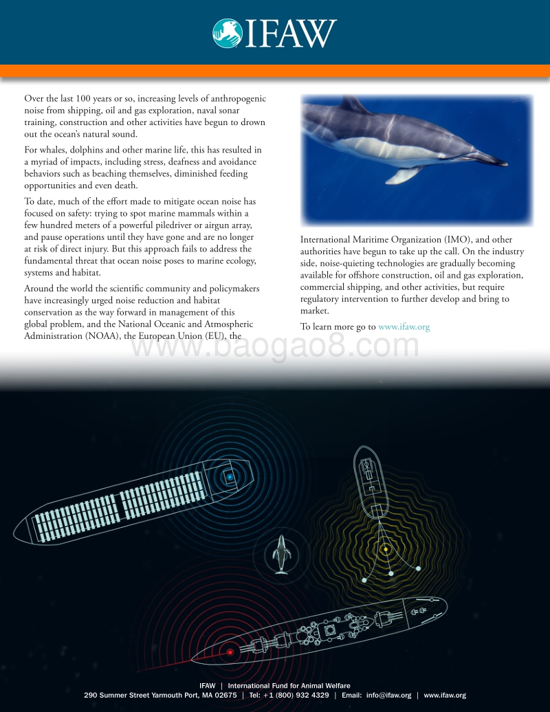 噪音海洋：噪声对海洋哺乳动物的影响（英文版）.pdf_第2页