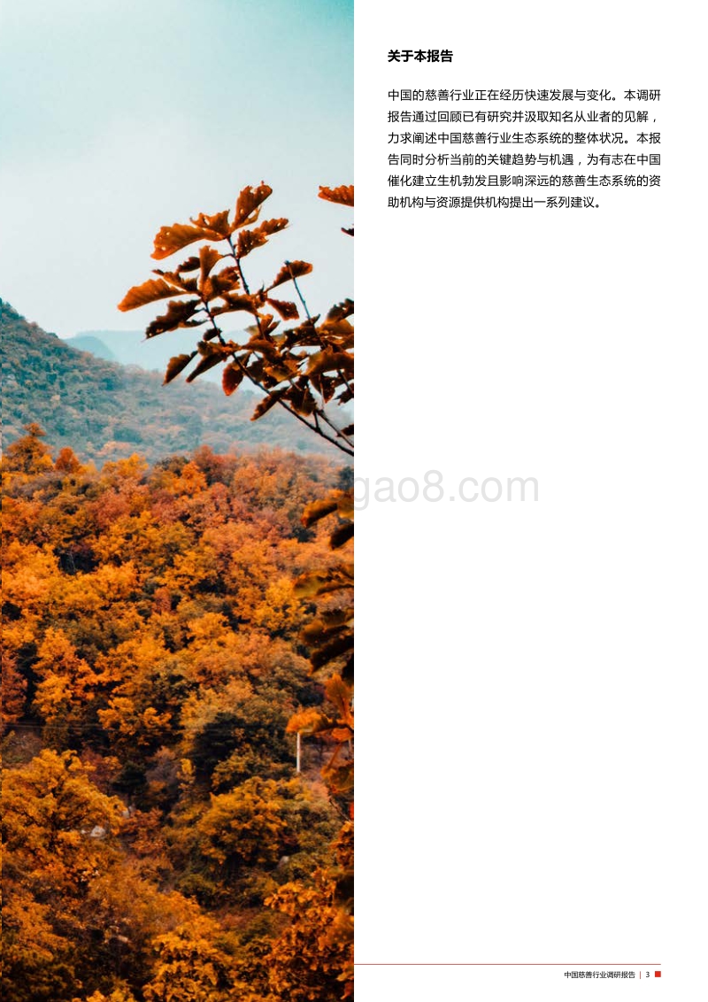 中国慈善行业调研报告：对行业资助机构的观察.pdf_第3页