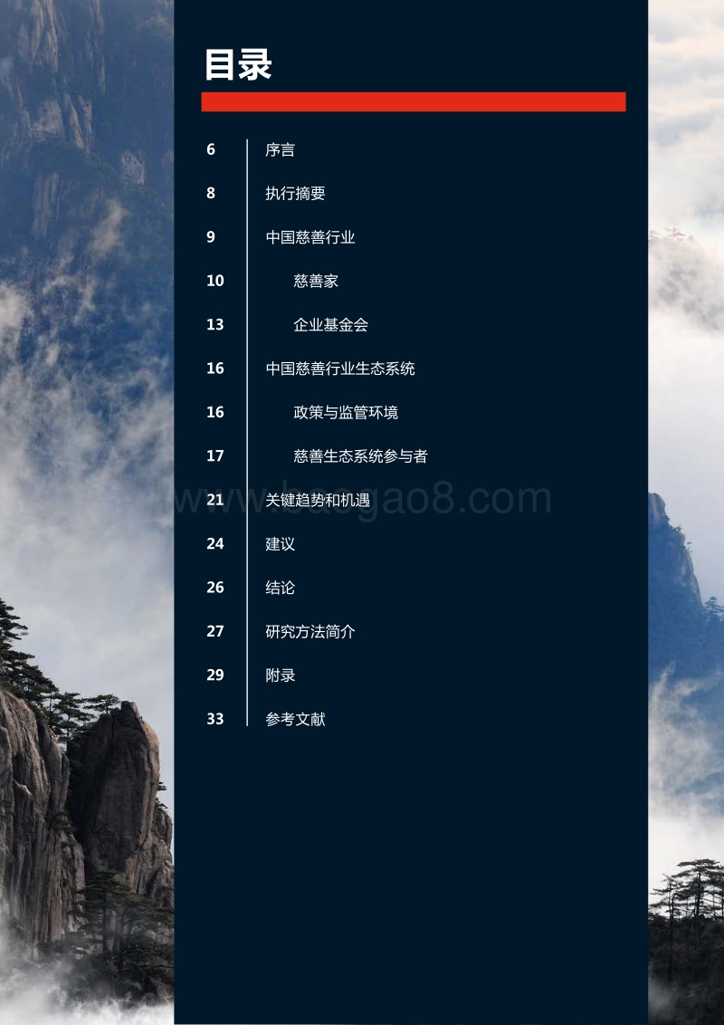 中国慈善行业调研报告：对行业资助机构的观察.pdf_第5页
