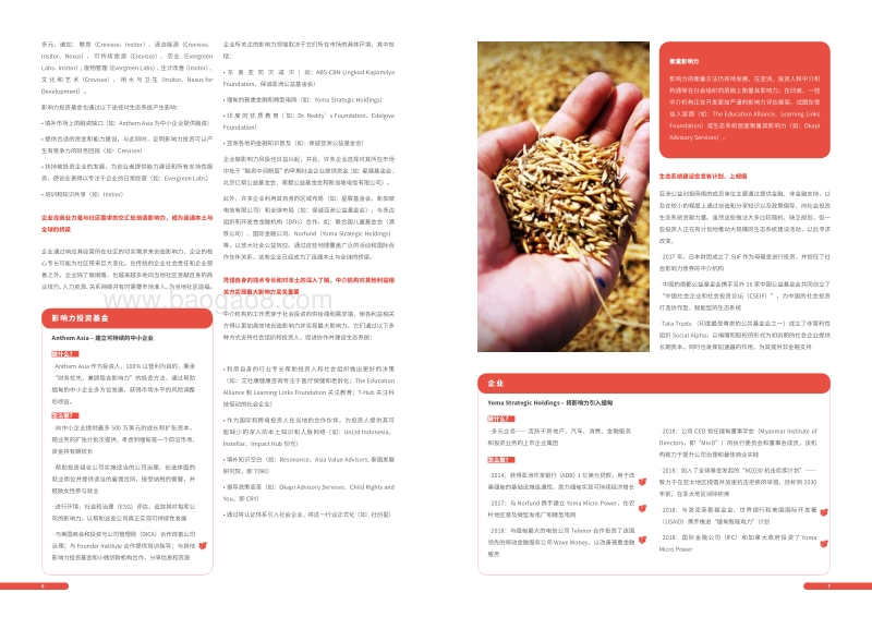 连续性资本打造亚洲社会投资生态圈.pdf_第5页